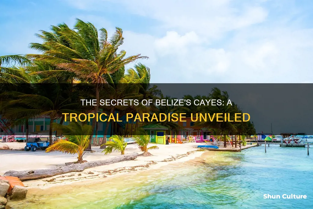 what are the cayes in belize