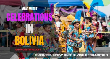 Festive Bolivia: Cultural Celebrations and Countrywide Fiestas