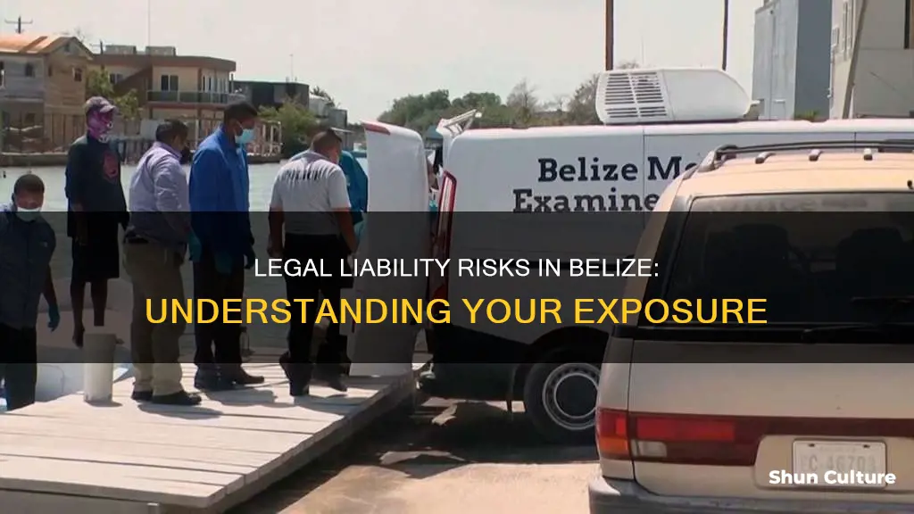 what are the chances of getting sued in belize