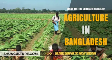 Exploring Bangladesh's Unique Agricultural Features and Practices