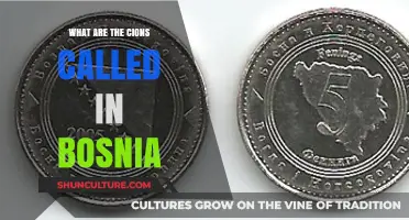The Unique Currency of Bosnia: Exploring the Name of Bosnian Coins