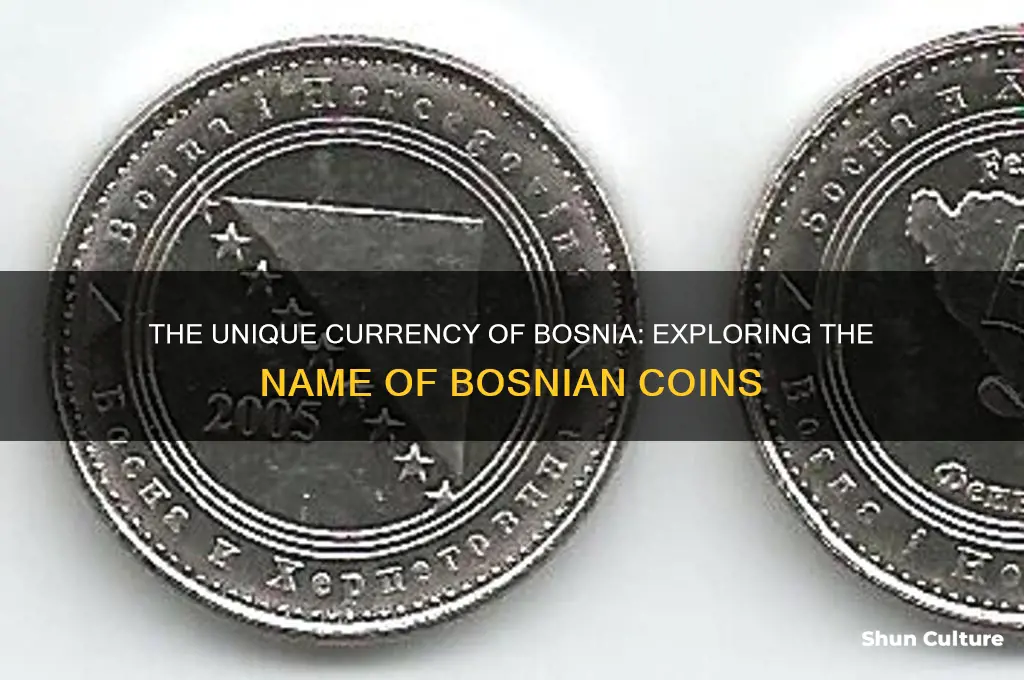 what are the cions called in bosnia