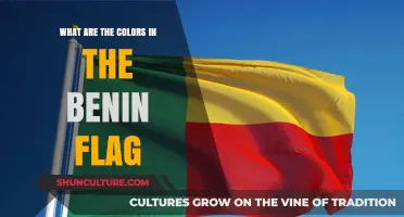 Unveiling the Symbolism: The Vibrant Colors of Benin's National Flag