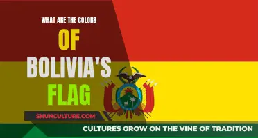 Bolivia's Flag: Unfurling the Tricolor's History