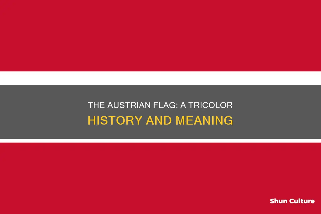 what are the colors of the austrian flag