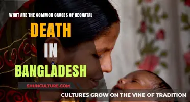 Neonatal Mortality in Bangladesh: Key Causes and Prevention Strategies