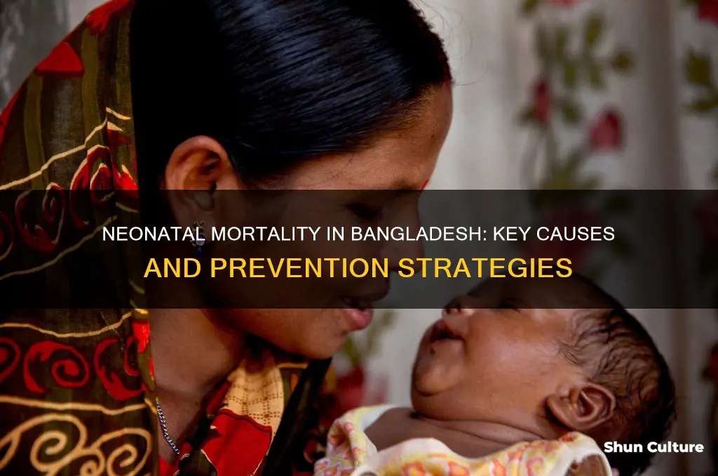 what are the common causes of neonatal death in bangladesh