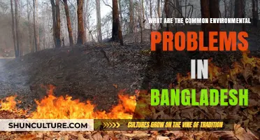 Bangladesh's Environmental Challenges: Key Issues and Their Impact