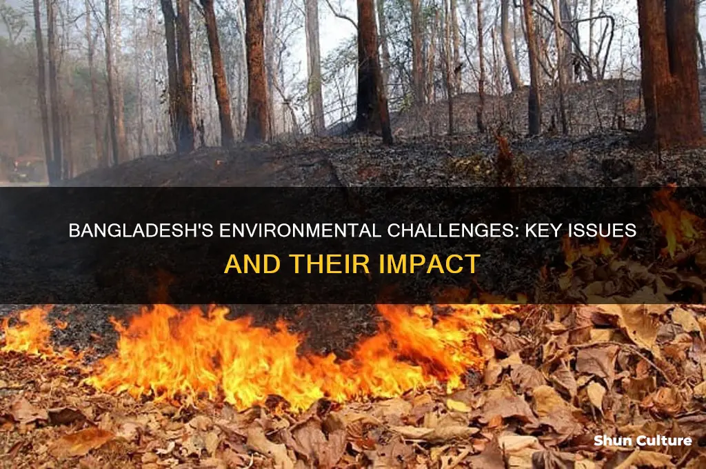 what are the common environmental problems in bangladesh