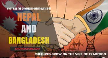 Exploring Shared Strengths: Nepal and Bangladesh's Common Potentialities