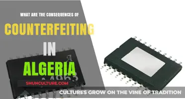 Counterfeiting in Algeria: Economic, Legal, and Social Consequences Explored