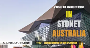 Sydney's COVID-19 Restrictions: Current Rules and Guidelines Explained