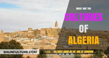 Exploring Algeria's Rich Cultural Heritage: Traditions, Diversity, and Identity
