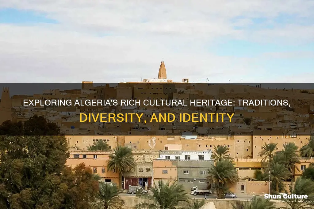 what are the cultures of algeria