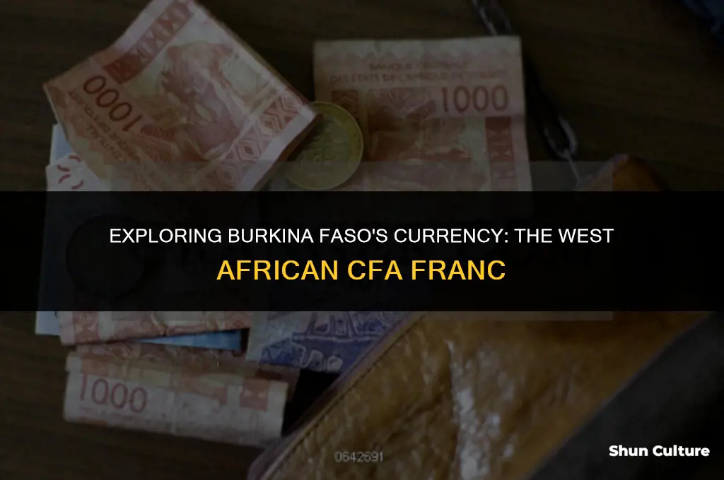 what are the currency called in burkina faso
