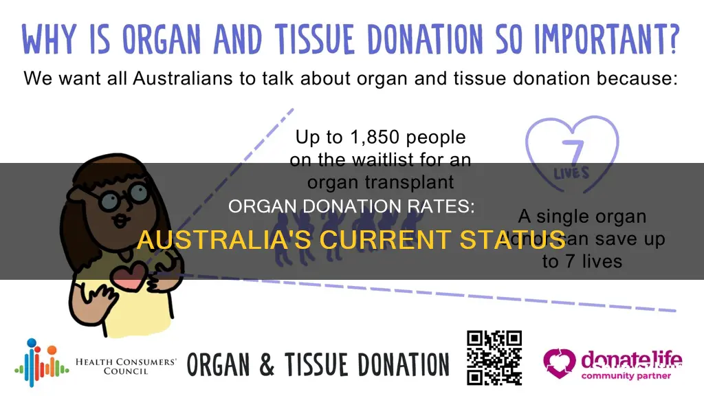 what are the current rates of organ donation in australia