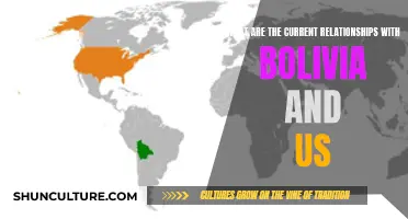 Bolivia-US Relations: Current Affairs and Dynamics