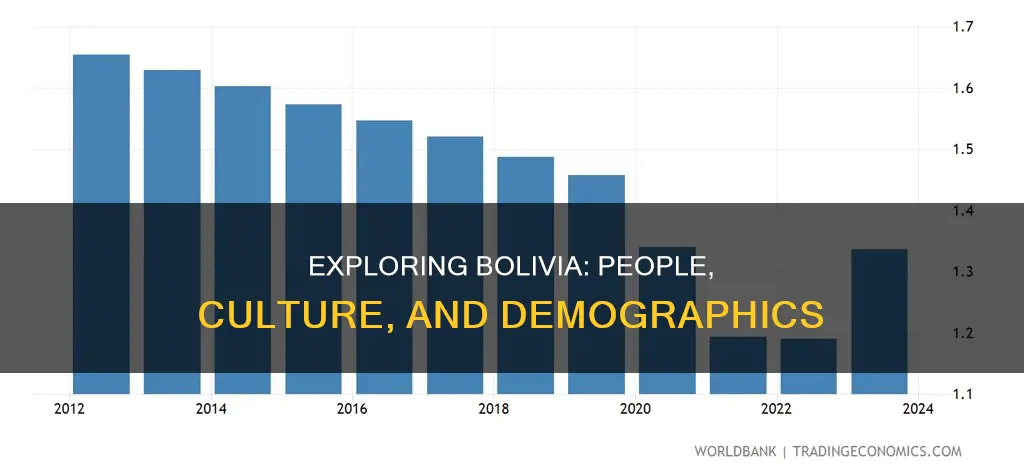 what are the demographics of bolivia