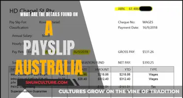 Understanding Your Payslip: Details and Insights
