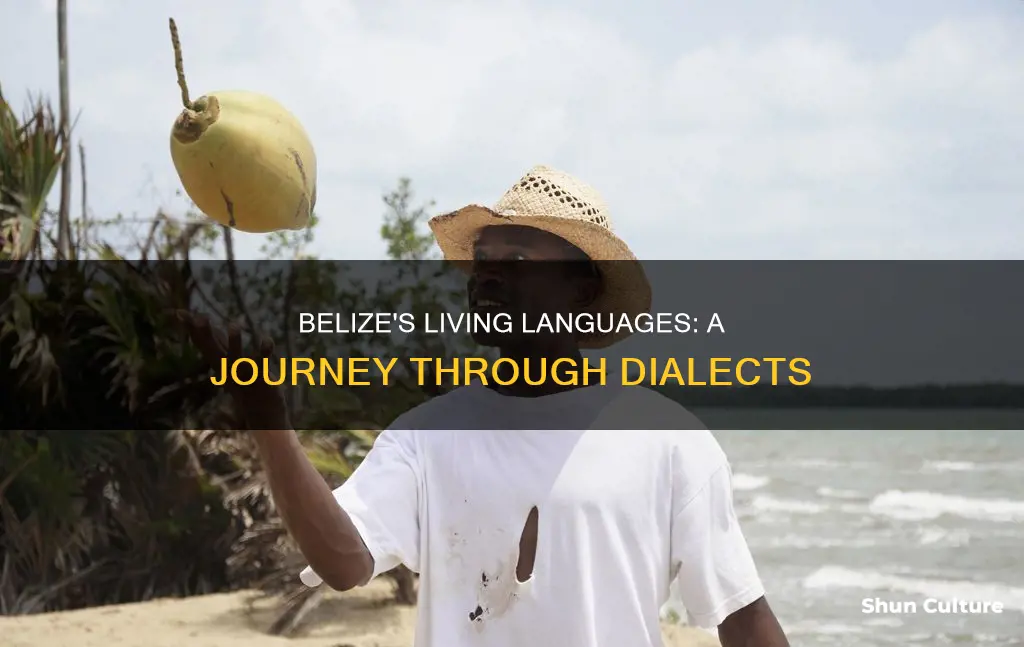 what are the dialects still spoken in belize