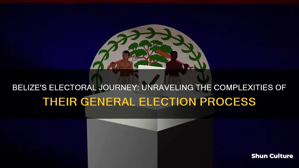 what are the different steps in belize general election process