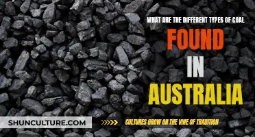Unveiling Australia's Diverse Coal Varieties: A Comprehensive Guide
