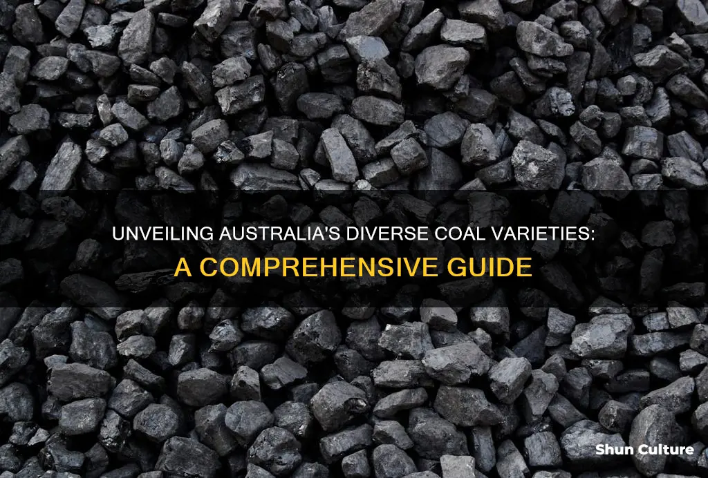 what are the different types of coal found in australia