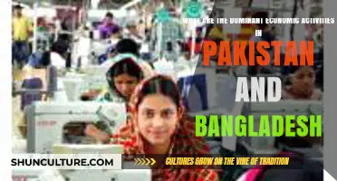 Economic Drivers: Dominant Activities Shaping Pakistan and Bangladesh's Growth