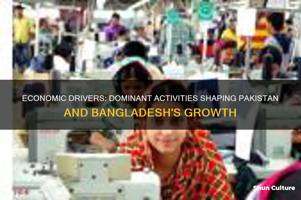 what are the dominant economic activities in pakistan and bangladesh