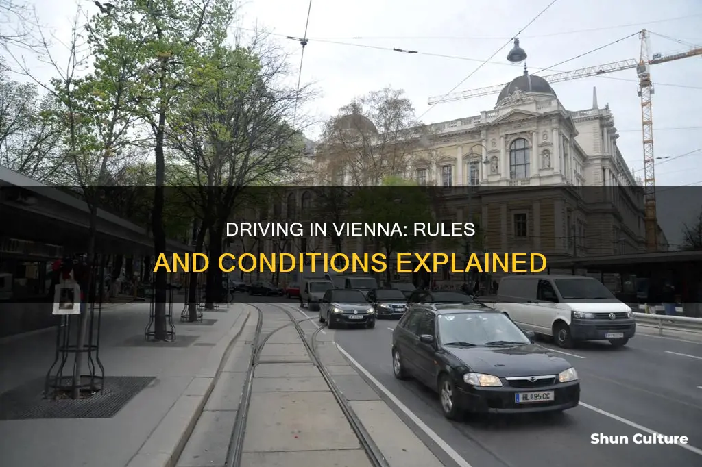 what are the driving conditions in vienna austria