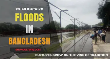 Devastating Floods in Bangladesh: Impacts, Challenges, and Community Resilience