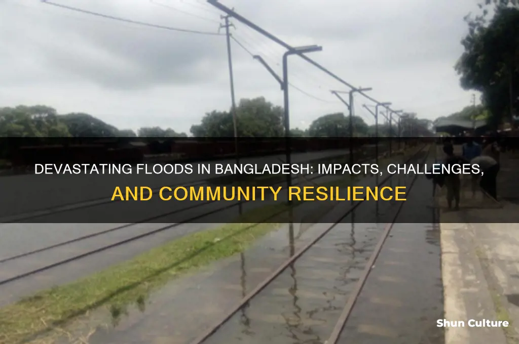 what are the effects of floods in bangladesh