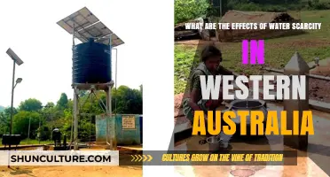 Western Australia's Water Crisis: Impacts and Solutions