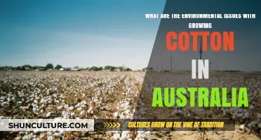 Cotton's Environmental Impact: Australia's Watery Woes