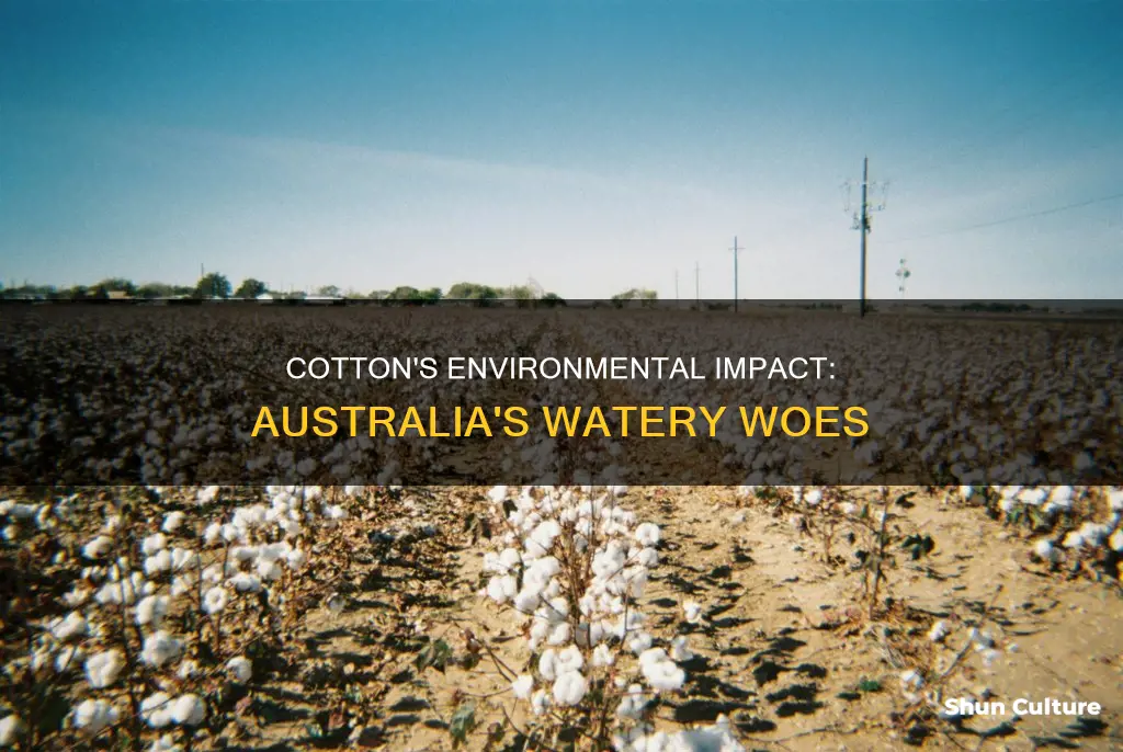 what are the environmental issues with growing cotton in australia
