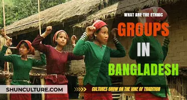 Exploring Bangladesh's Rich Cultural Diversity: Ethnic Groups and Communities