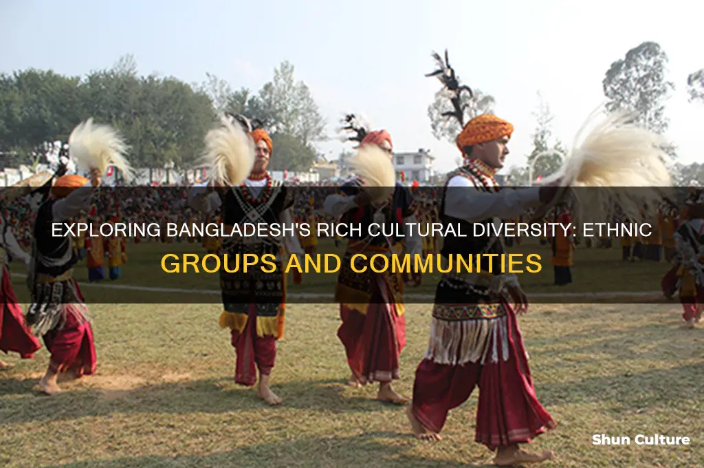 what are the ethnic groups in bangladesh