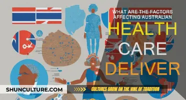 Australian Healthcare: Factors Affecting Delivery and Patient Experience