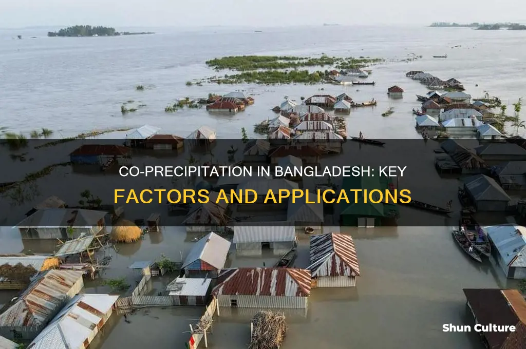 what are the factors of using co precipitation in bangladesh