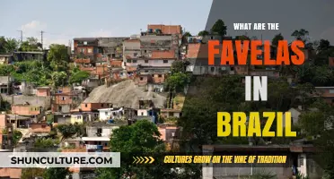 Understanding Brazil's Favelas: History, Culture, and Community Life Explained