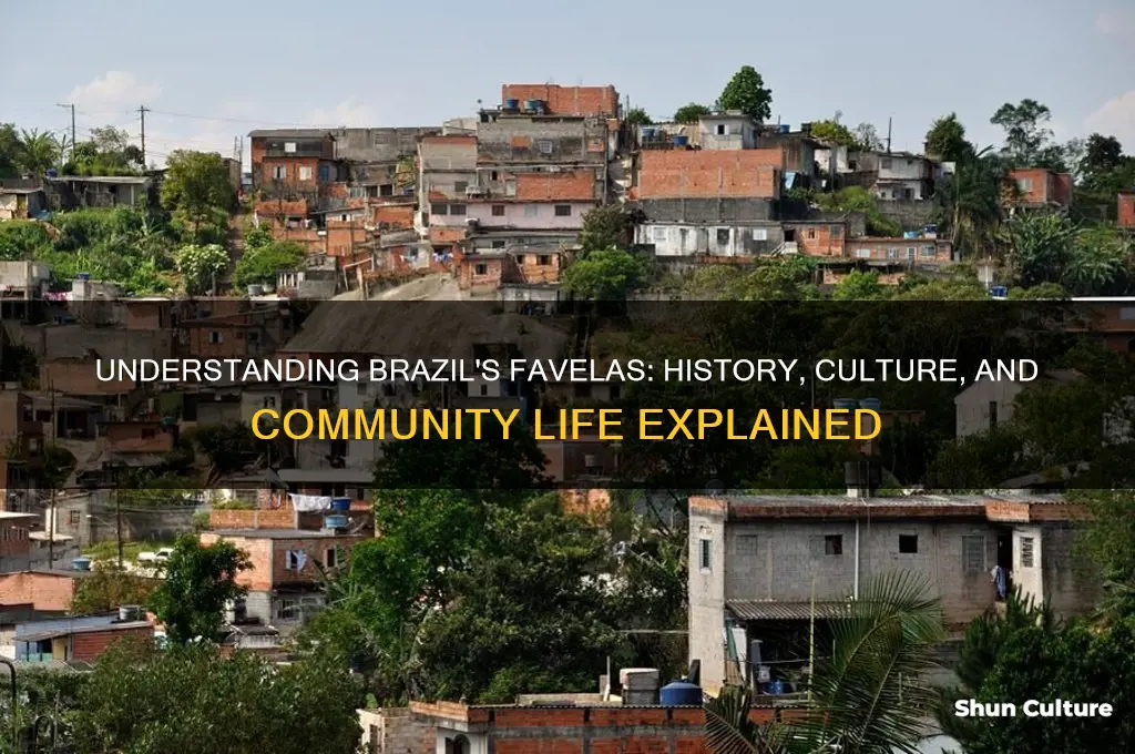 what are the favelas in brazil