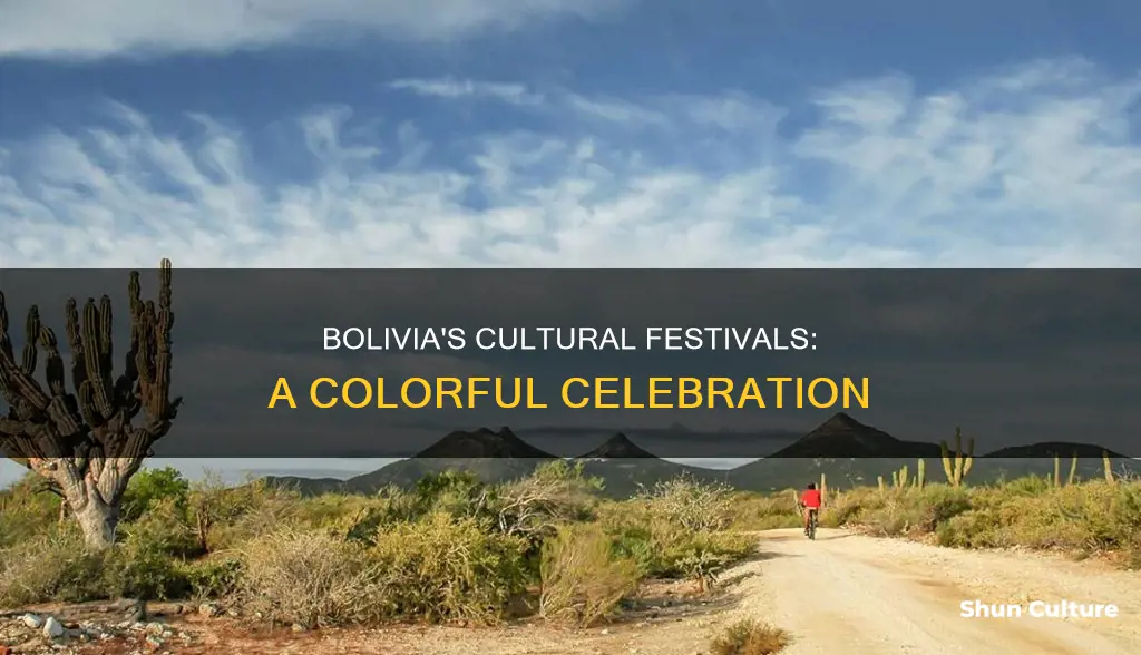 what are the festvals in bolivia