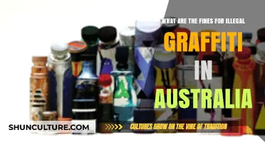 Graffiti Laws in Australia: Understanding the Penalties