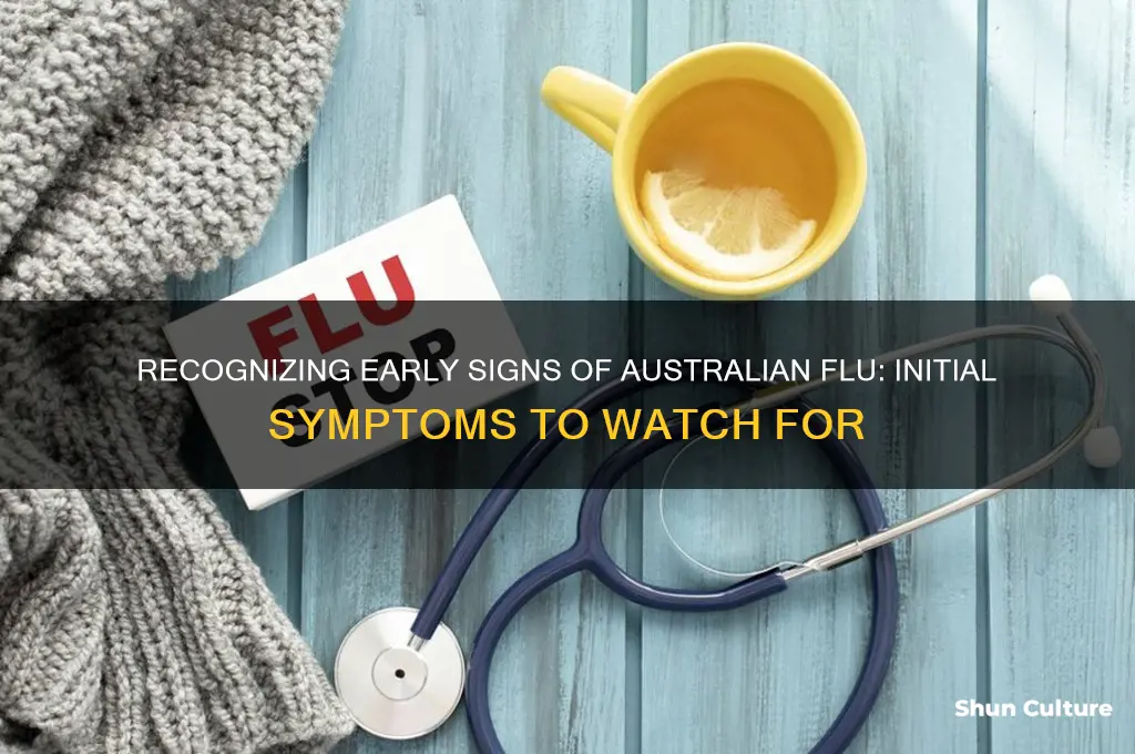 what are the first symptoms of the australian flu