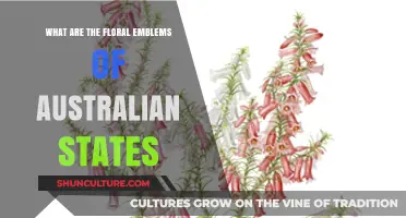Australian States: Their Unique Floral Emblems