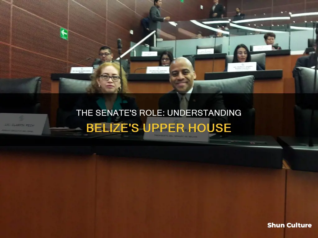 what are the functions of the senate in belize