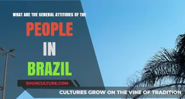 Exploring Brazil's Cultural Spirit: Understanding the People's General Attitudes