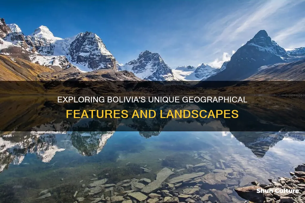 what are the geographic features of bolivia