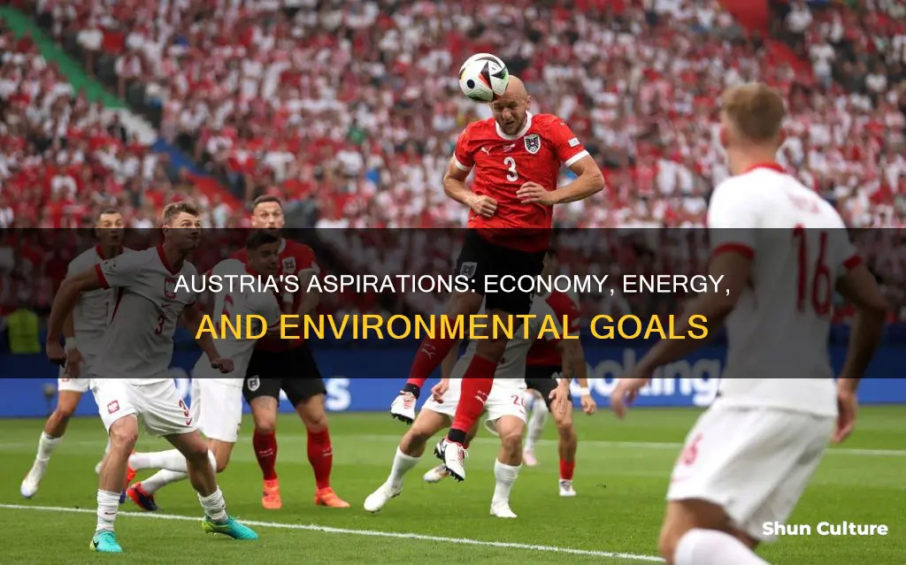 what are the goals of austria