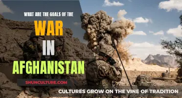 The Ambitions of War: Understanding the Complex Goals of the Afghanistan Conflict